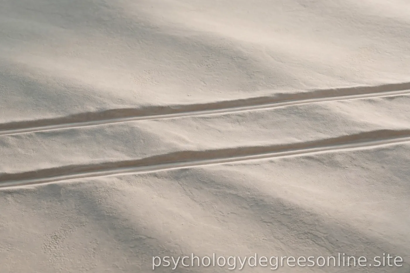 Article F4 — featured image